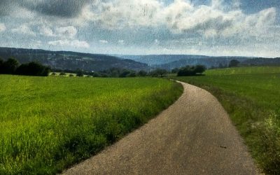 Generation Y: Zwischen Selbstbestimmung und Selbstmitleid