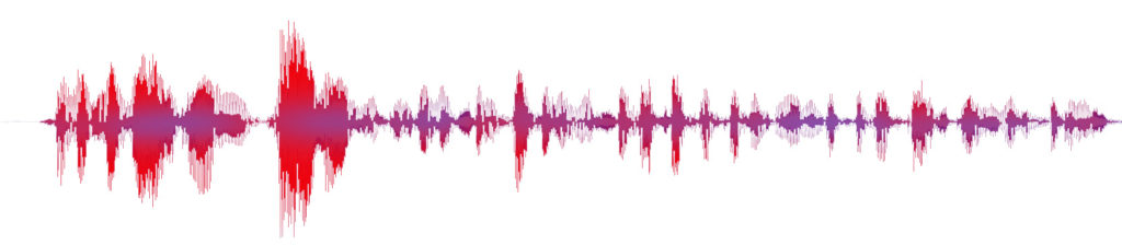 Waveform Sprachaufnahme