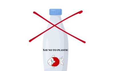 Leben ohne Plastik?