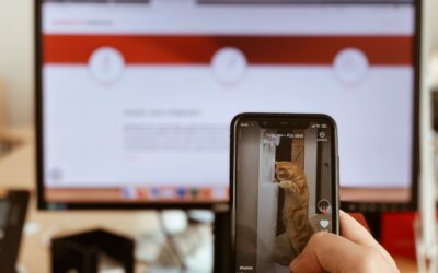 TikTok – Teil 2: Content is King