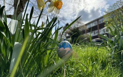 Hasen, Eier und Lämmer – Fallstricke zu Ostern und wie man sie umgeht