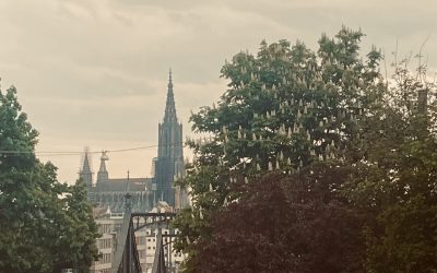 Bericht aus … Ulm: Rekorde vergehen, das Münster bleibt.